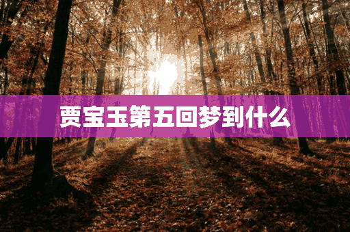 贾宝玉第五回梦到什么(贾宝玉第五回梦到什么了)